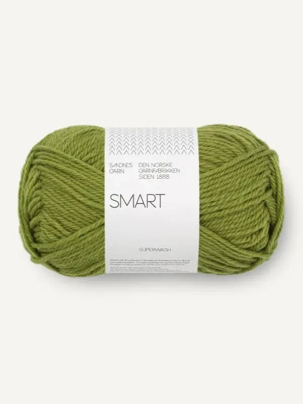 Sandnes garn Smart, farge 9564 matcha