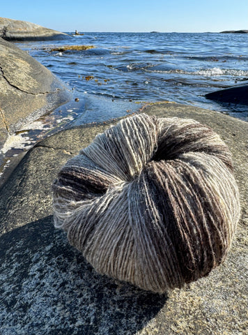 flerfarget merinoull, hespe på Stangnes i Kragerø