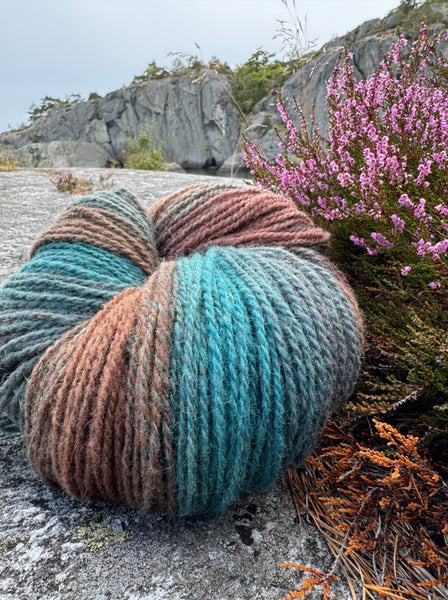flerfarget merino ull på Stangnes, Jomfruland Nasjonalpark